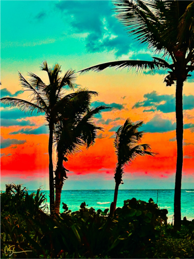 Main image Tulum Palms at Dusk