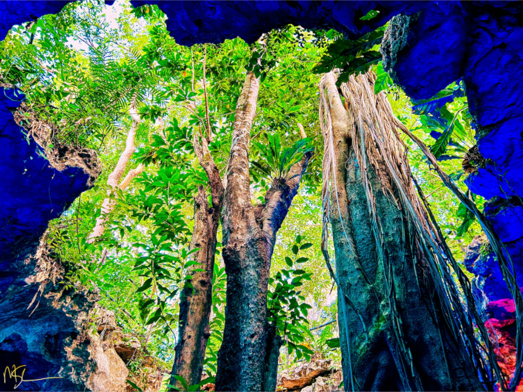 Main image Tulum Cenote Ancient Decent